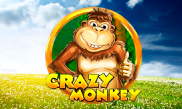 Crazy Monkey